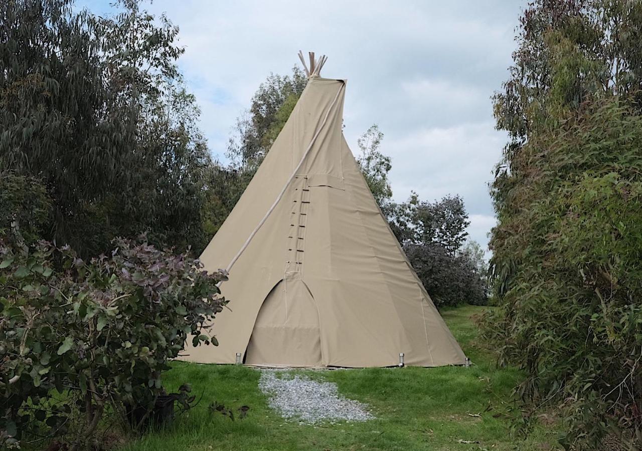 Hotel Gumtree Tipis Bickington Exterior foto