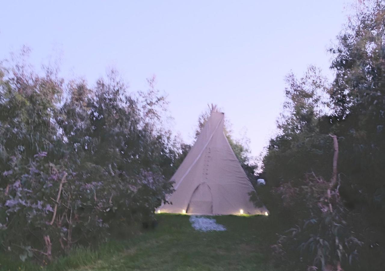 Hotel Gumtree Tipis Bickington Exterior foto