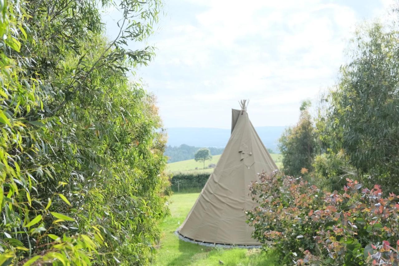 Hotel Gumtree Tipis Bickington Exterior foto